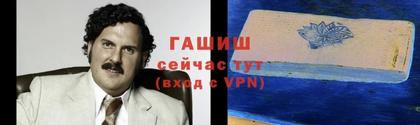 хмурый Мегион