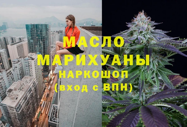 хмурый Мегион