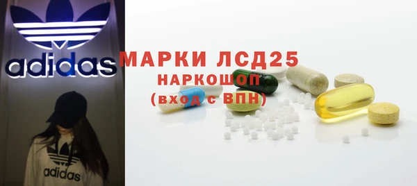 хмурый Мегион