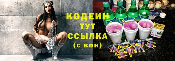 твердый Медвежьегорск