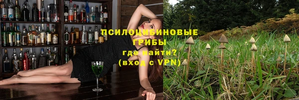 твердый Медвежьегорск