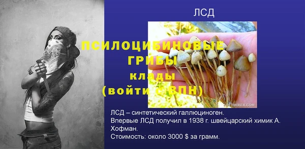 твердый Медвежьегорск