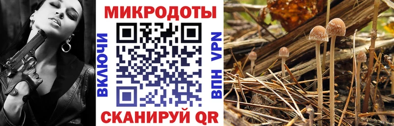 Купить закладки  Поворино  Галлюциногенные грибы Magic Shrooms 